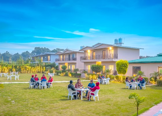 Peaceful Jungle Setting